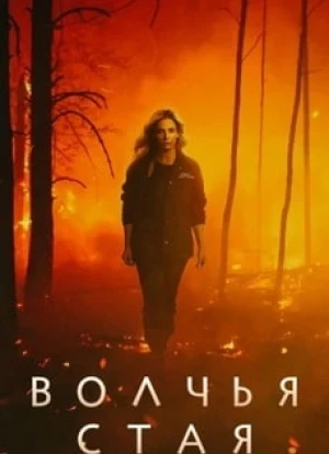 Волчья стая