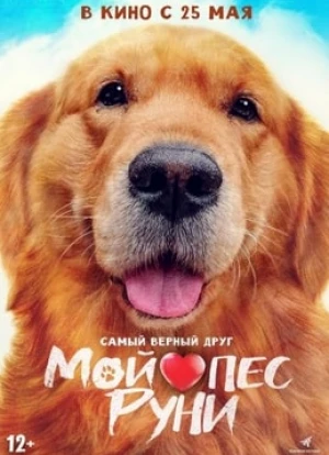 Мой пёс Руни