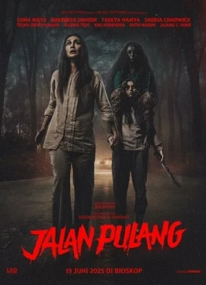 Дорога домой 2025