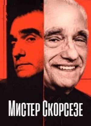 Мистер Скорсезе 1 сезон