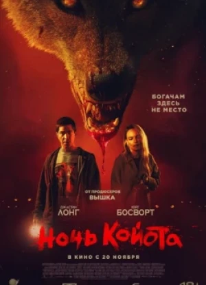 Ночь койота 2025