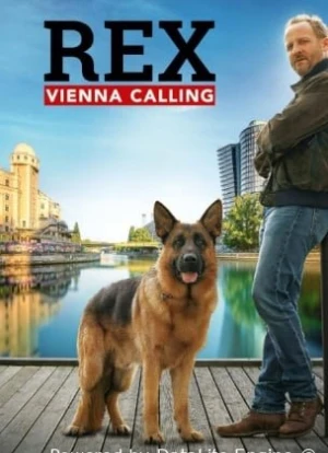 Комиссар Рэкс: Перезапуск 1 сезон 2026